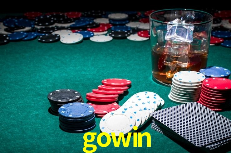 Experiência VIP gowin