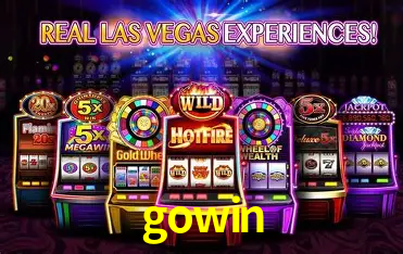 gowin Rio de Janeiro - Professional Dealers
